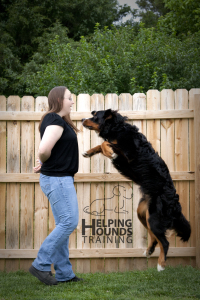 IMG_2094logo (2) NO LEASH